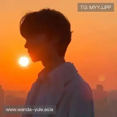 沈廷衡